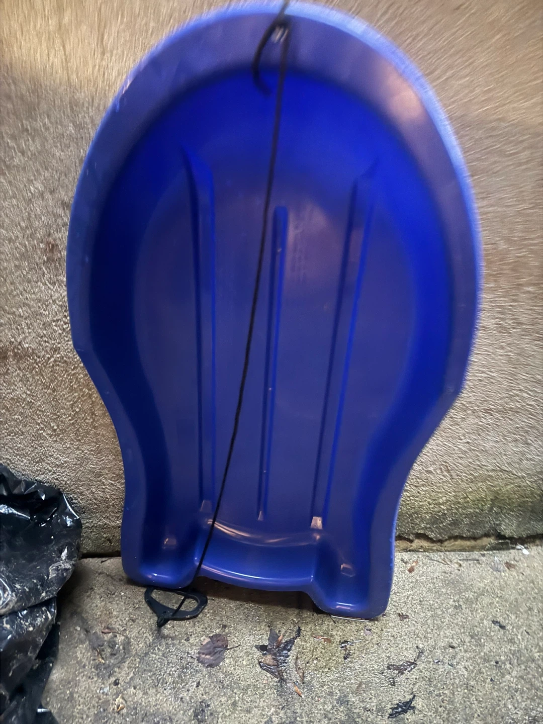 Blue Plastic Saucer Snow Sled