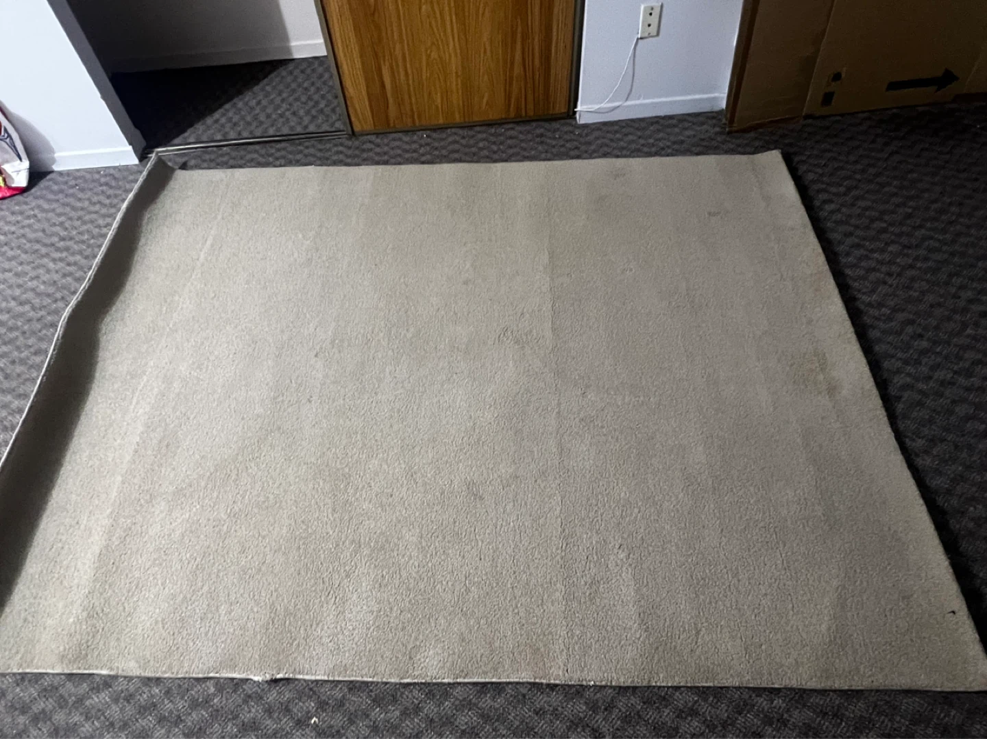 Large Beige Area Rug