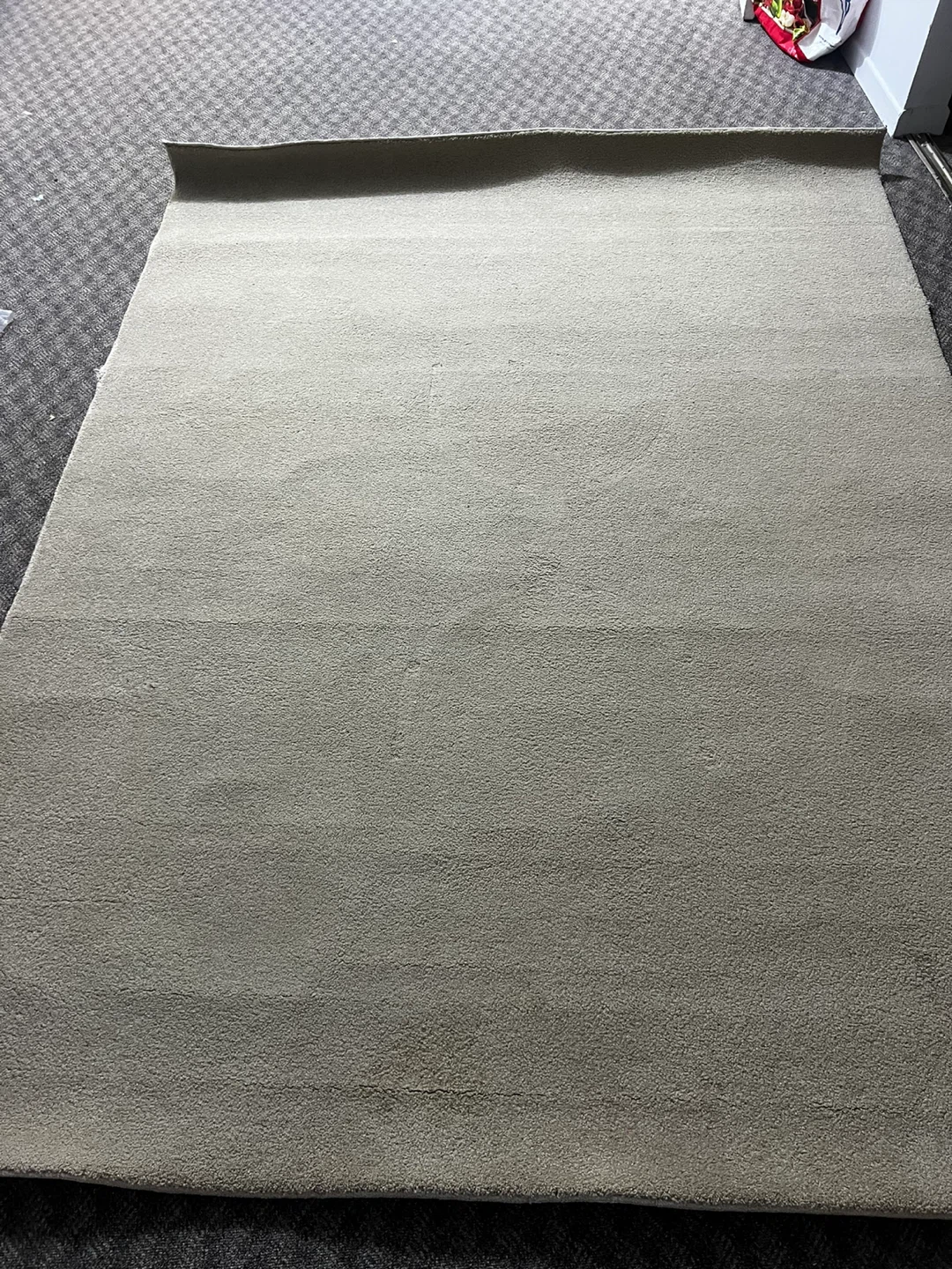 Large Beige Area Rug - photo 3