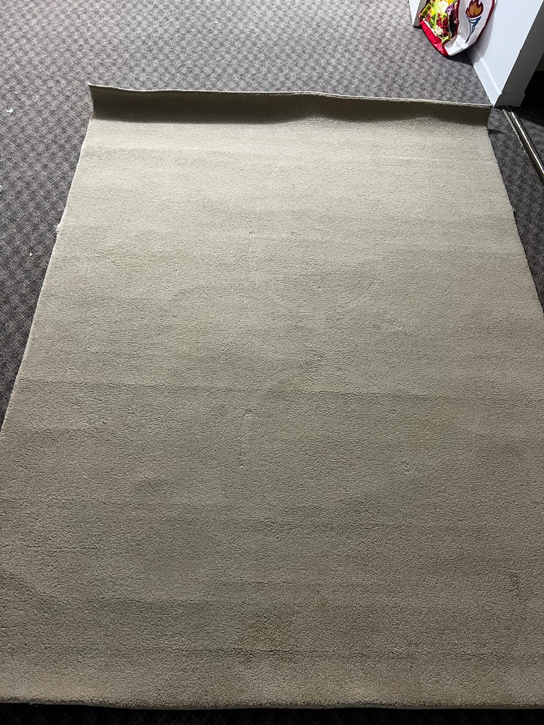 Large Beige Area Rug - photo 2