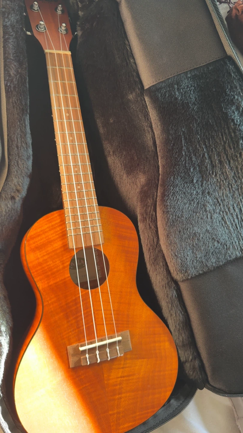 Kala KA-CEM Concert Ukulele - Full Set