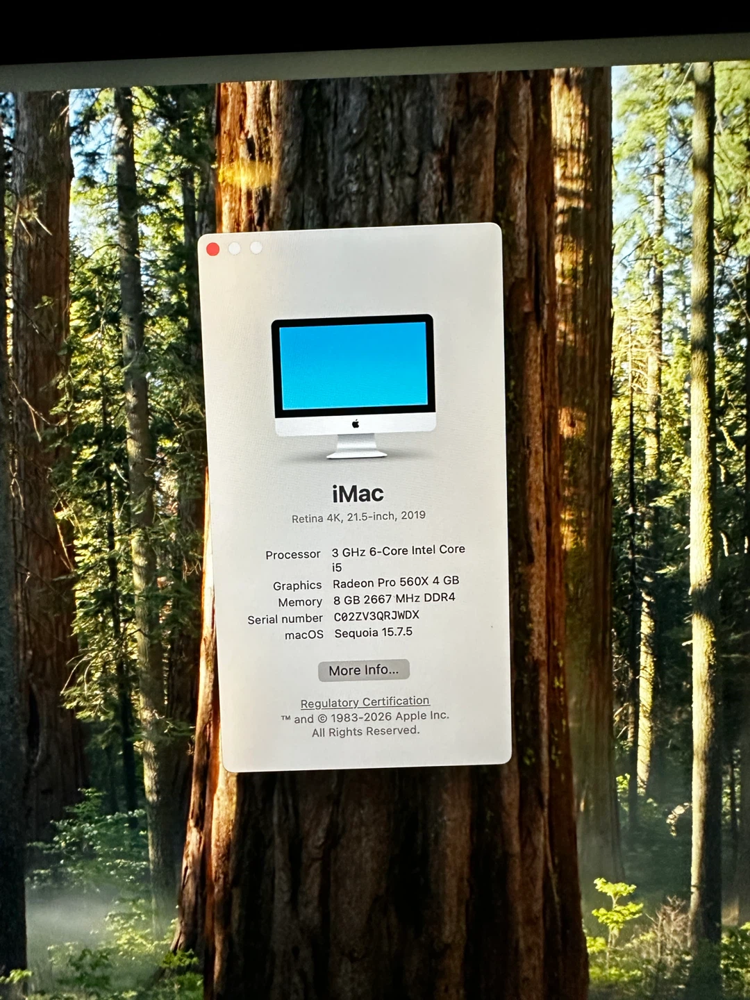 Apple iMac Retina 4K 21.5-inch, 2019 - photo 2