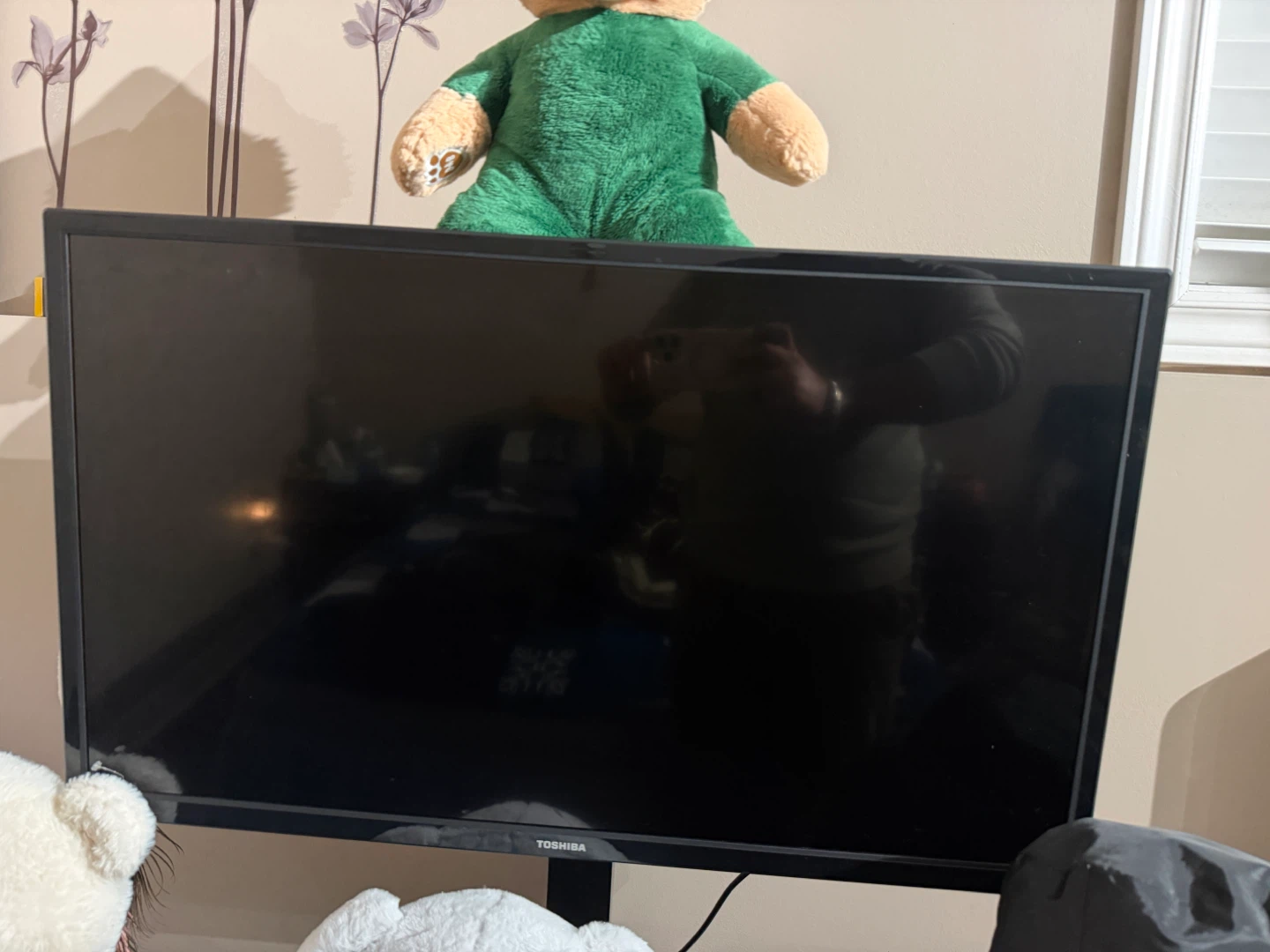 Toshiba Flat Screen TV