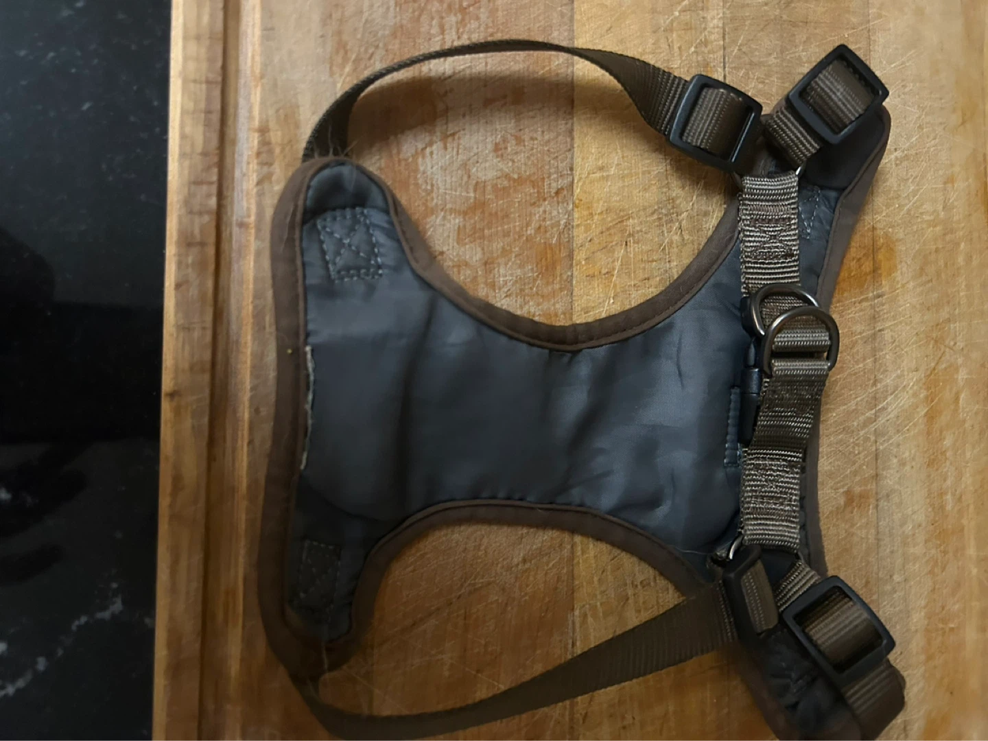 Small dog harness