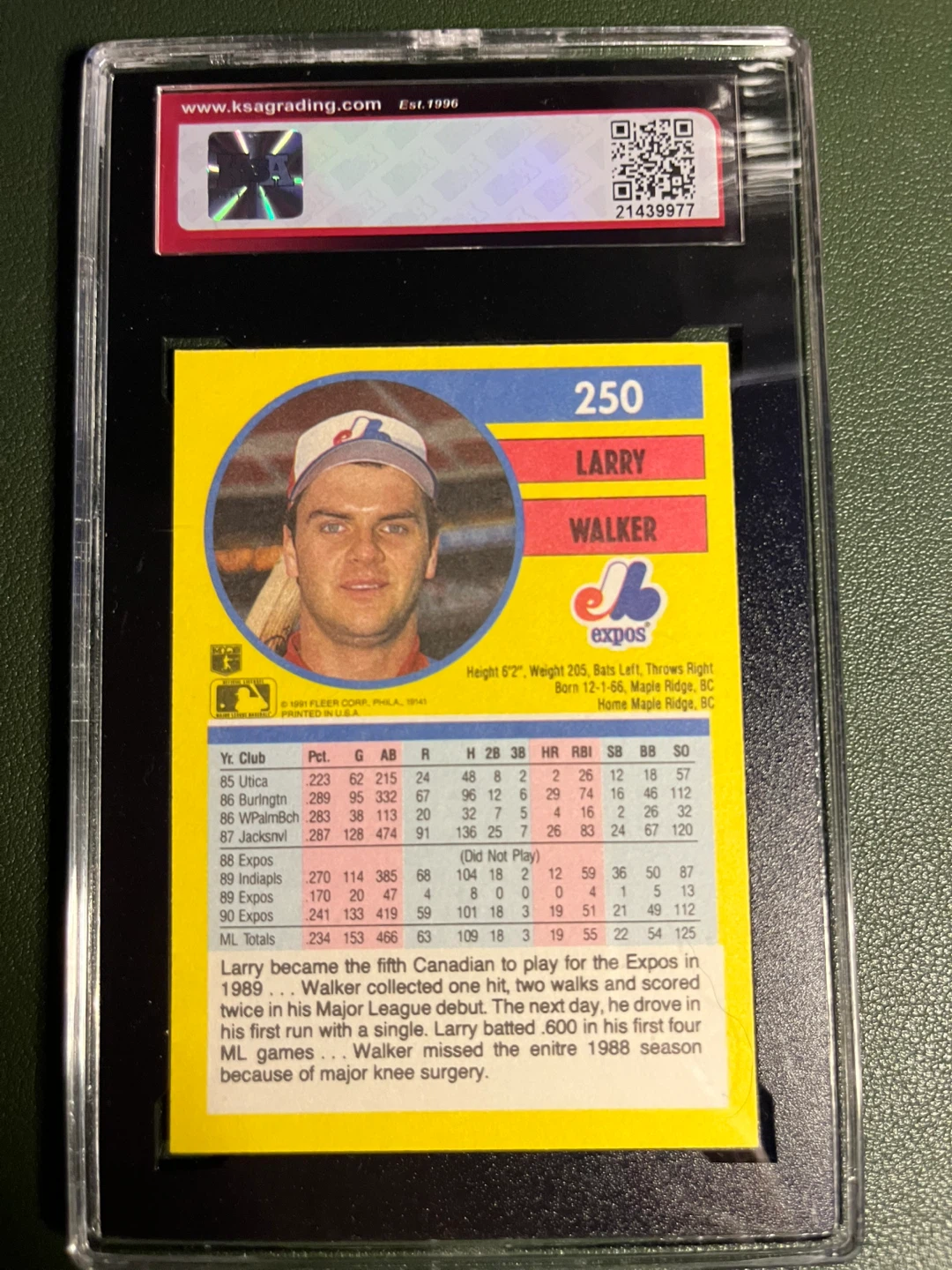 1991 Fleer Larry Walker #250 Baseball Card - Gem Mint 10 - photo 2