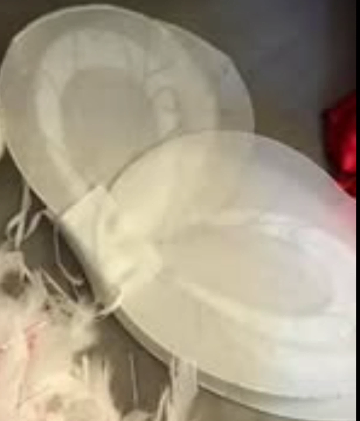 Halloween angel wings and boa.
