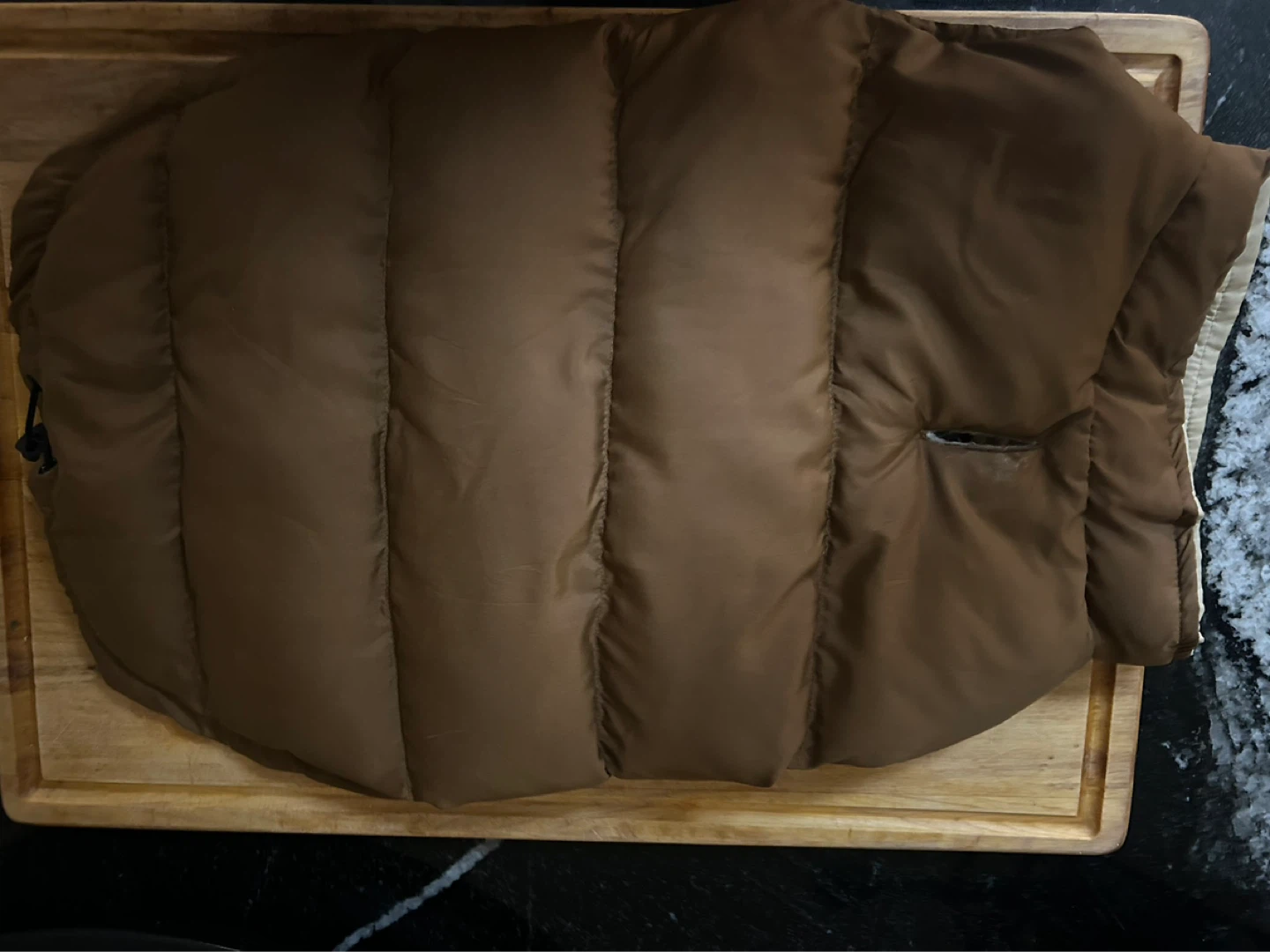 Dog coat