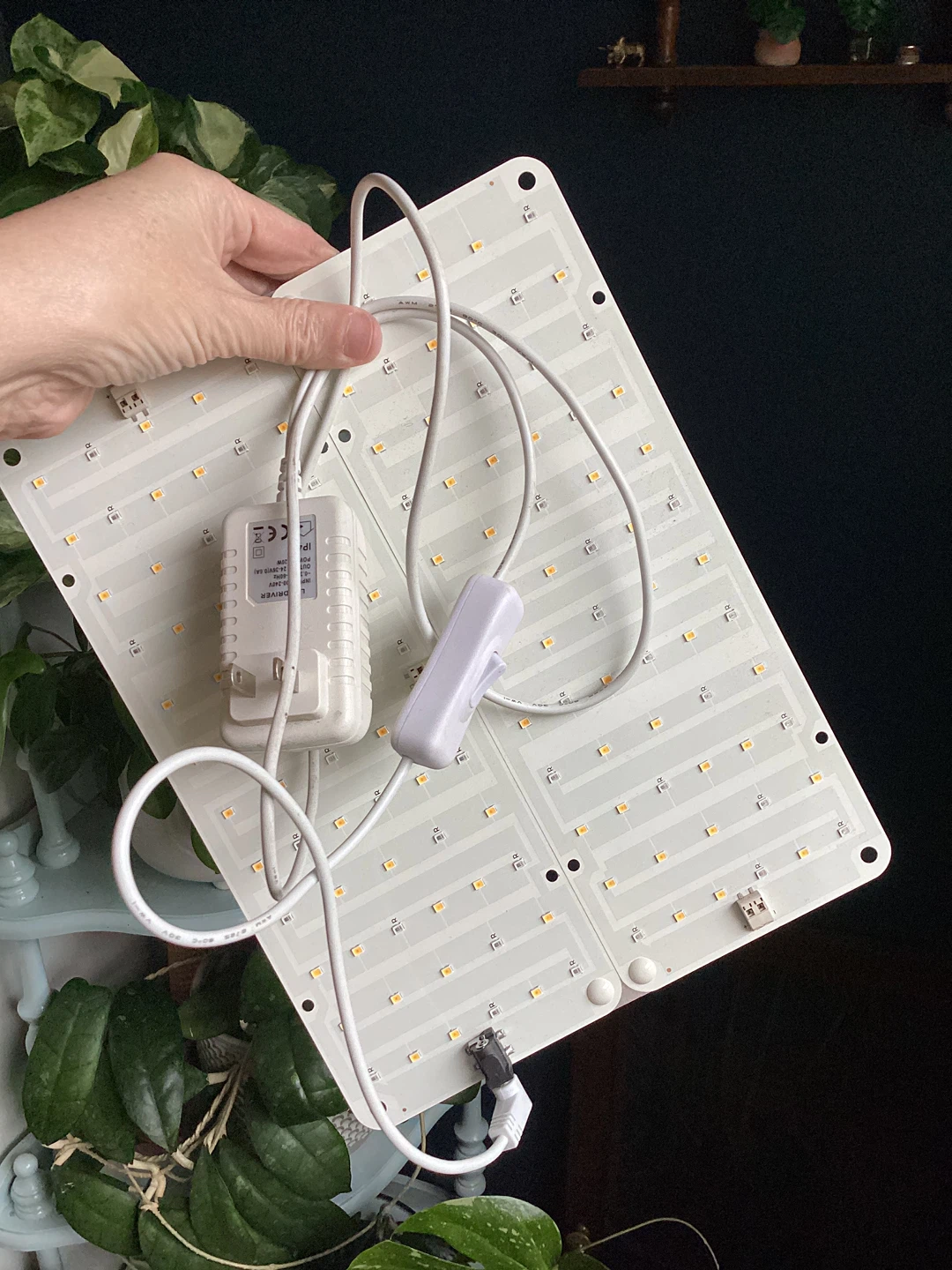 LED Grow Light Panel