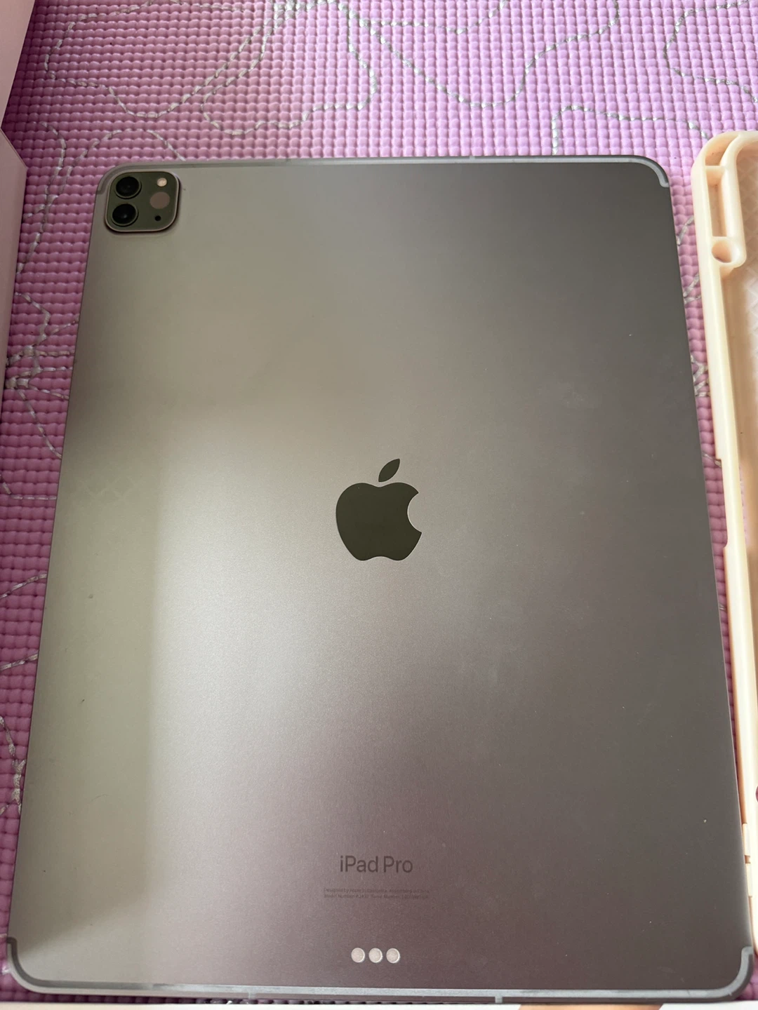 Perfect iPad Pro 12.9 M2 Wi-Fi + Cellular 256GB. Has Apple Care