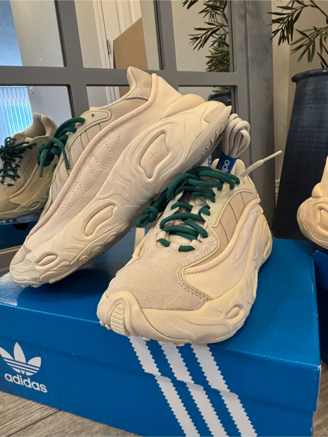 Brand New Adidas Oznoua Sneakers Beige with Green Laces