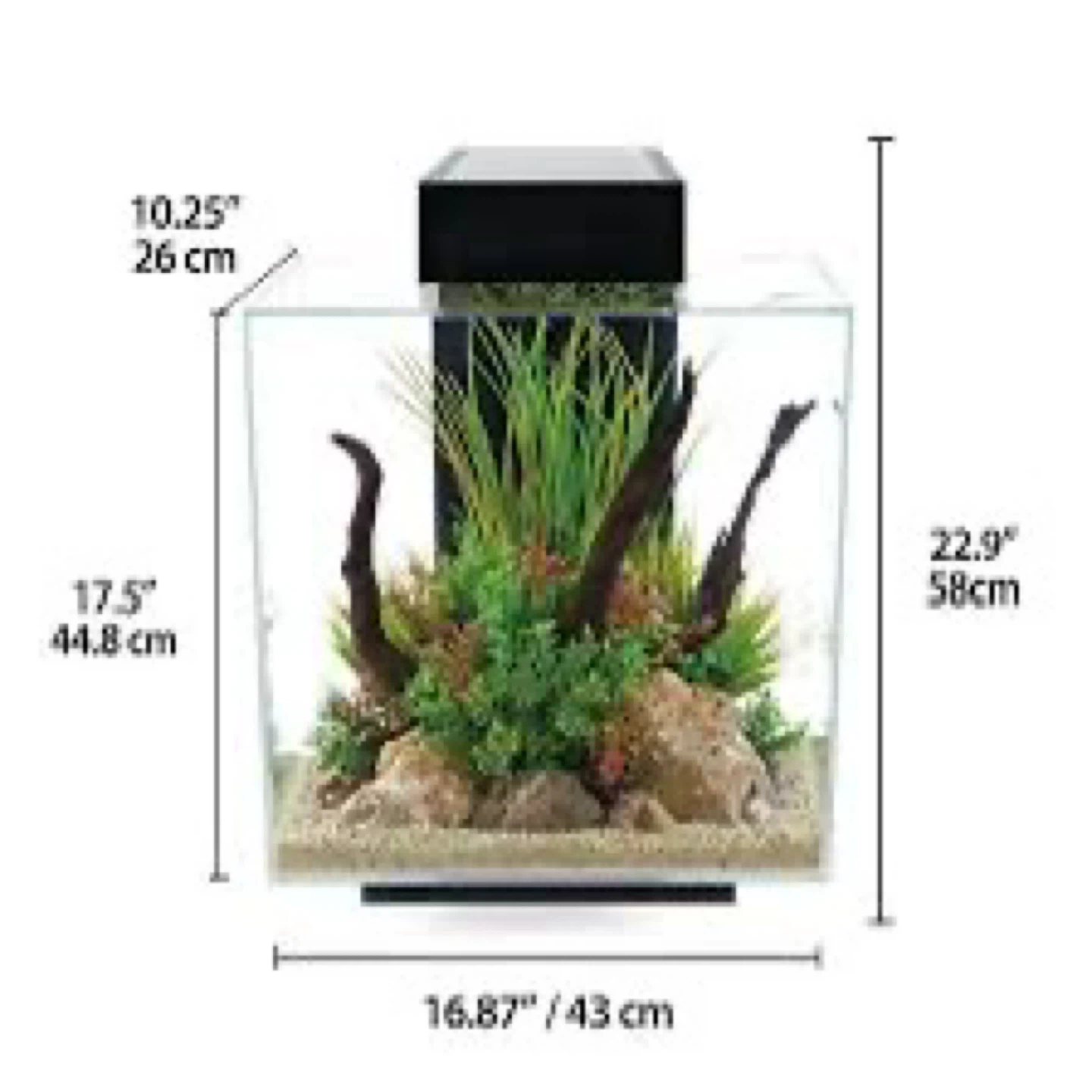Glass Aquarium Fish Tank with Filter - photo 3