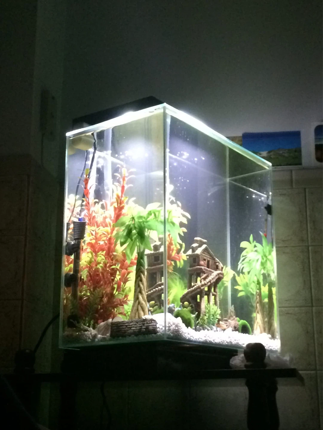 Glass Aquarium Fish Tank with Filter - photo 2