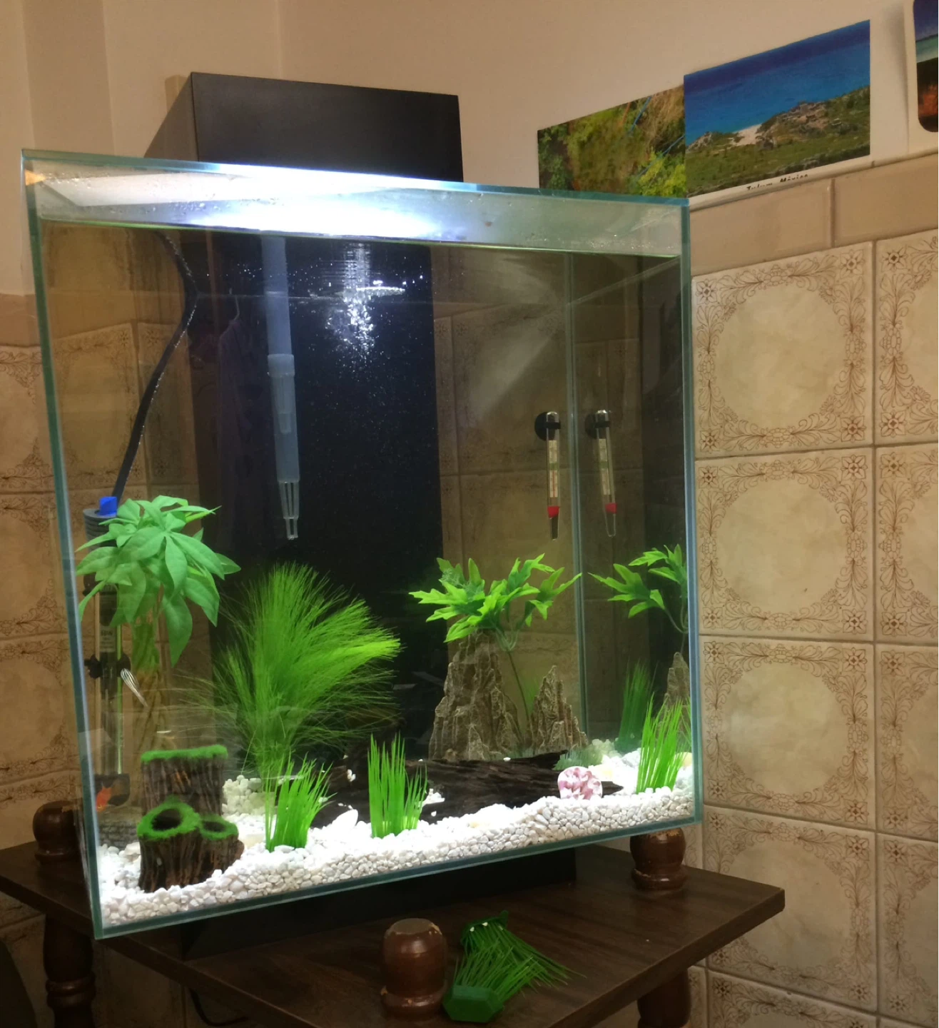 Glass Aquarium Fish Tank with Filter