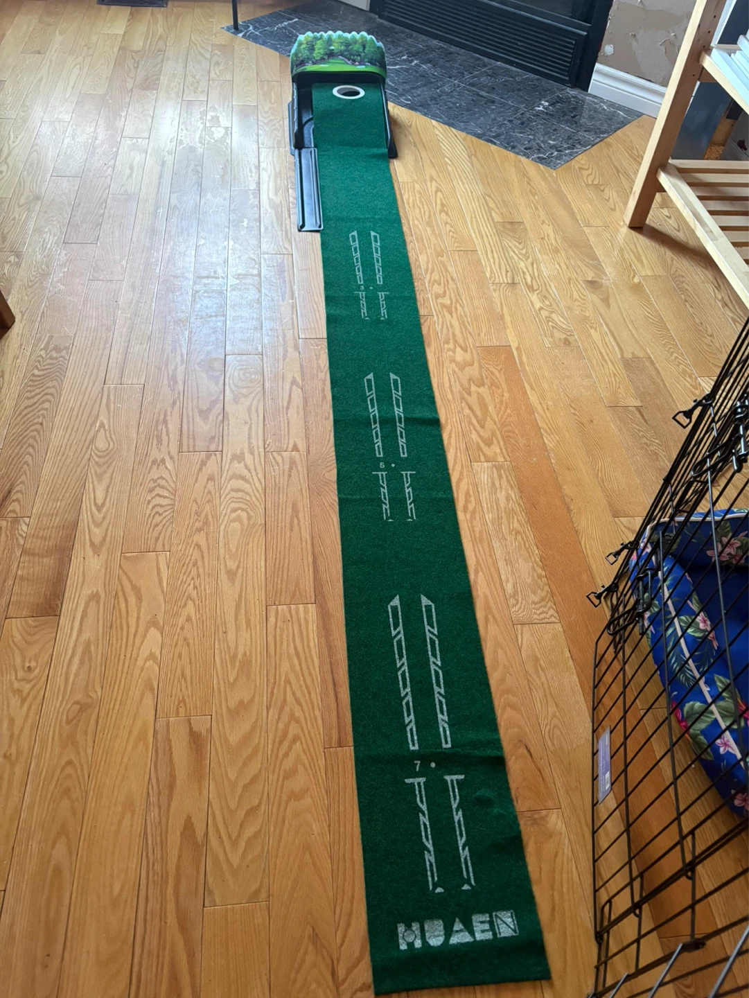 HUAEN Automatic Putting System - photo 2