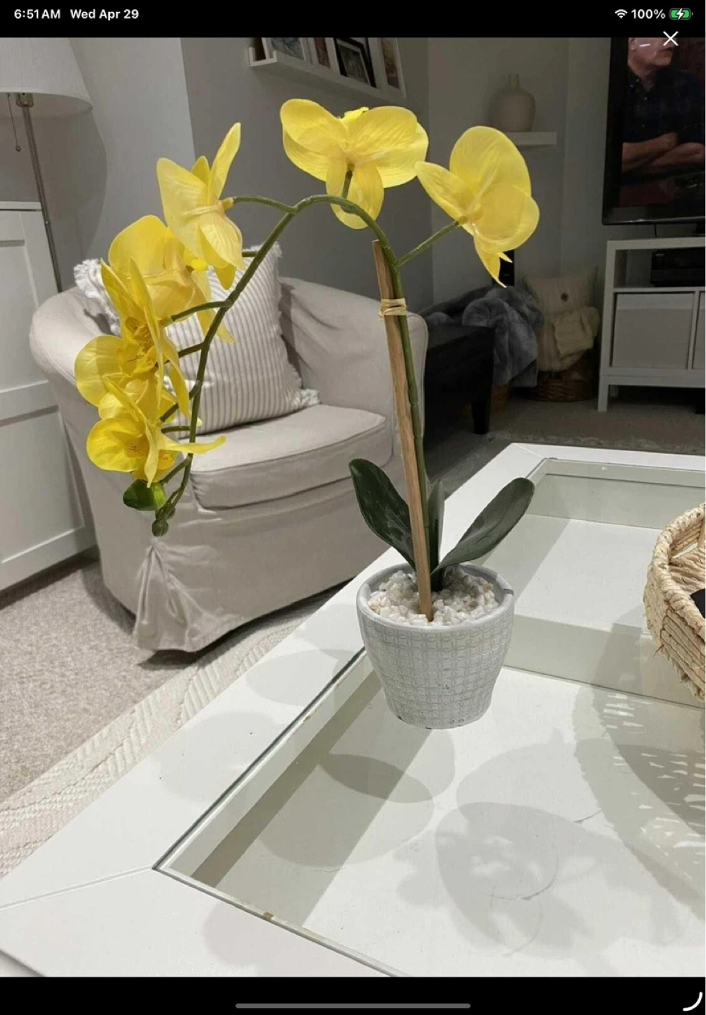 Yellow Orchid Plant artificial from homesense