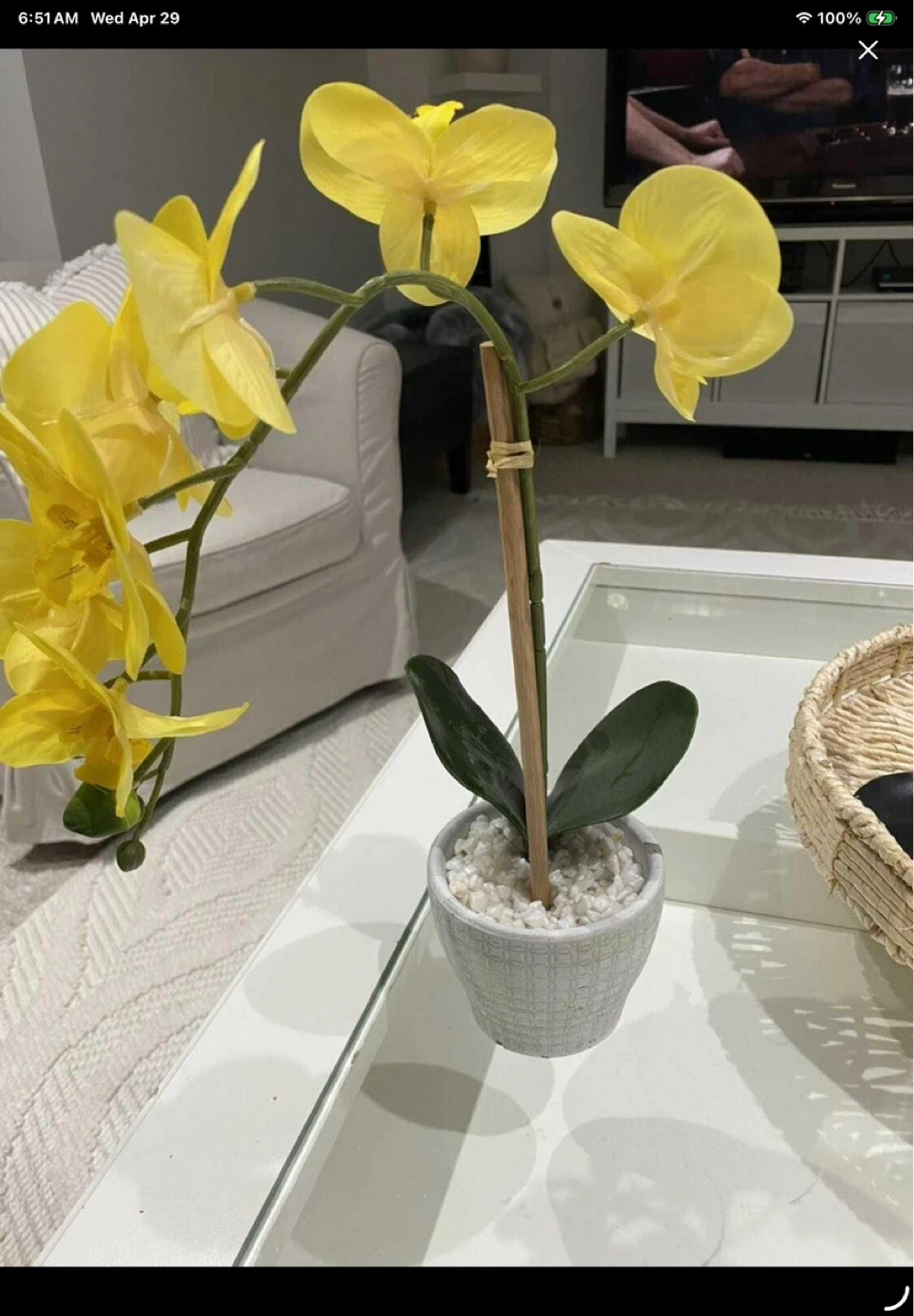 Yellow Orchid Plant artificial from homesense - photo 2
