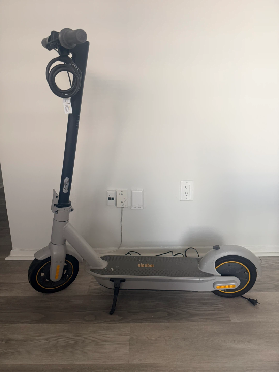 Ninebot Electric Scooter