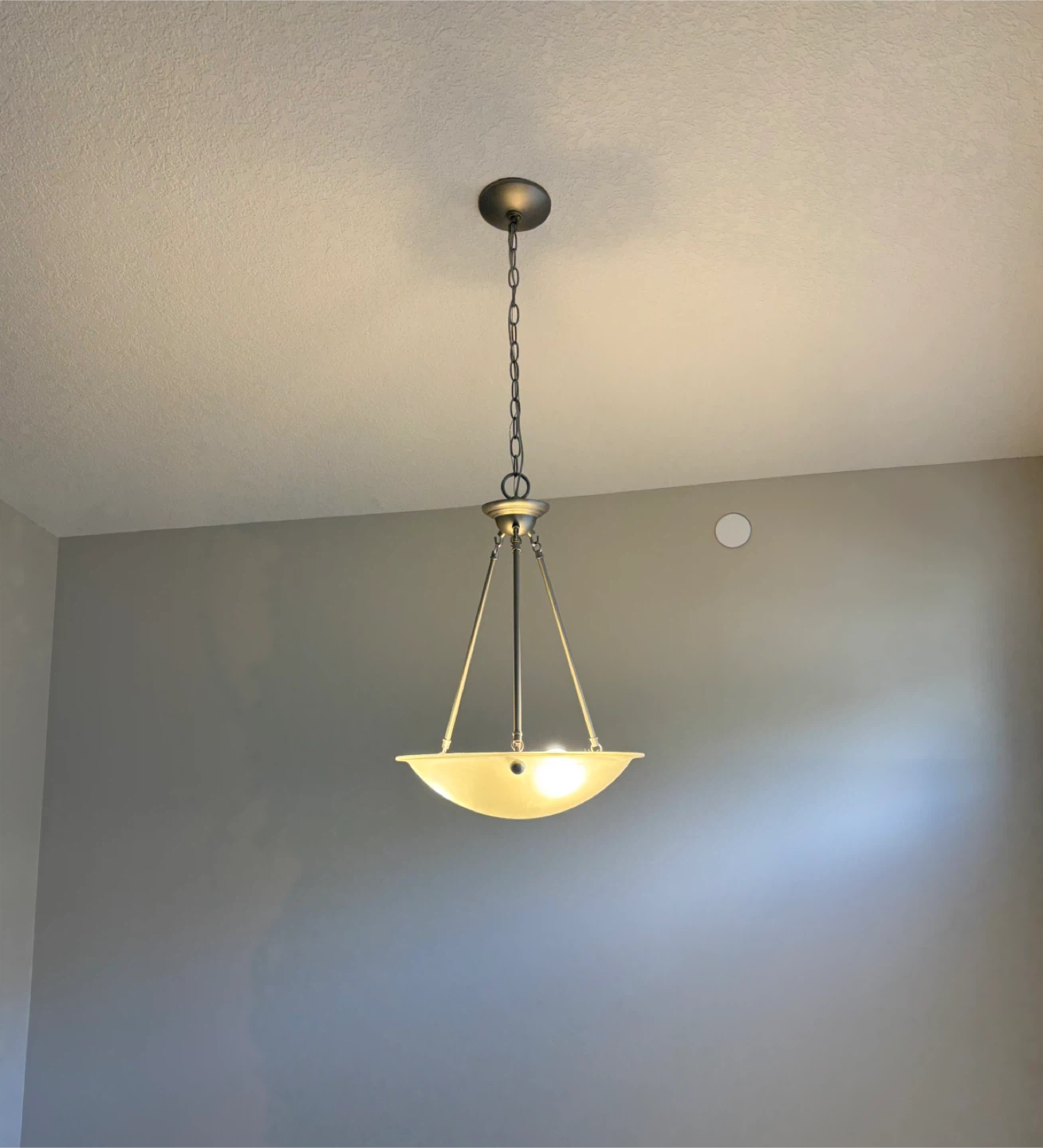 Hanging Pendant Light Fixture