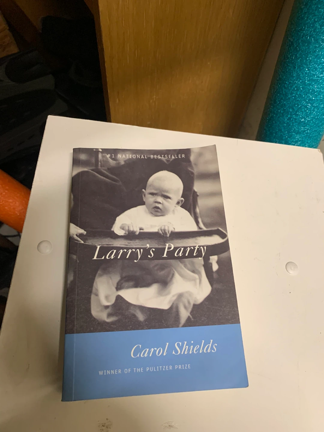 Larry's Party by book Carol Shields