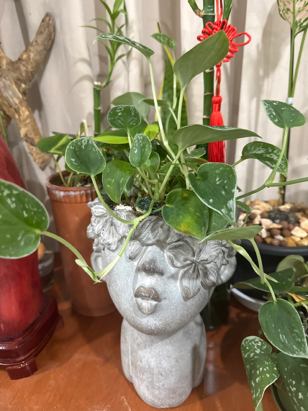 Stone Face Planter Pot