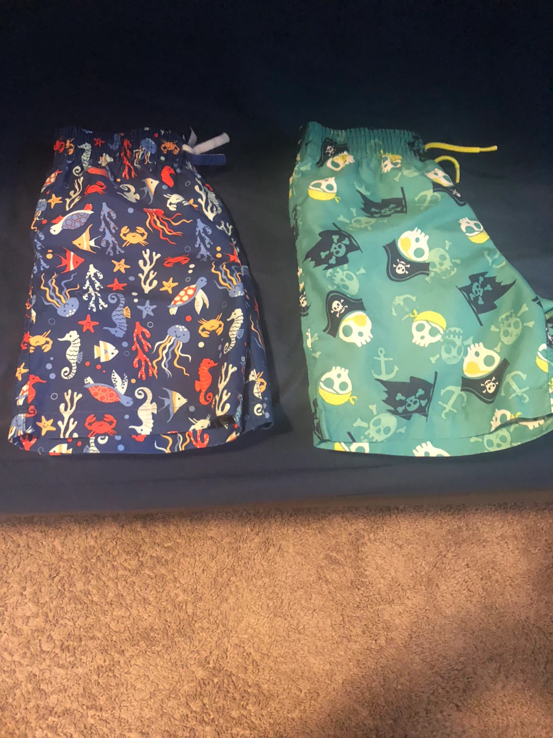 Toddler Swim Trunks (2 pairs, Size 5)