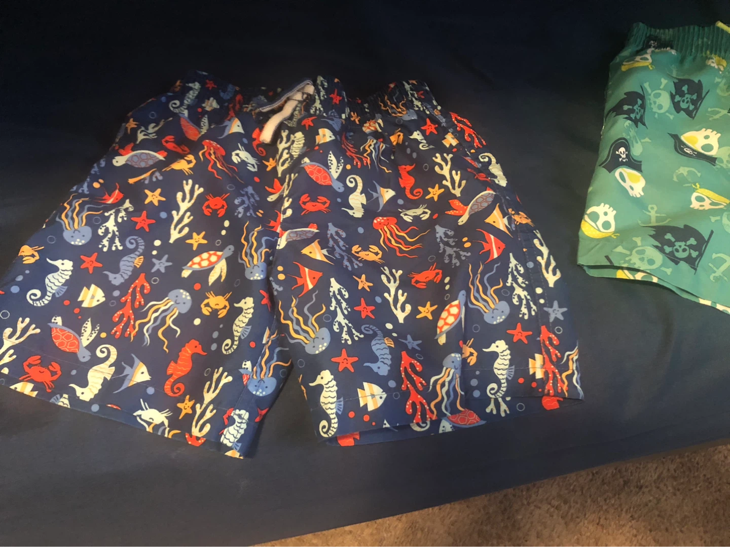 Toddler Swim Trunks (2 pairs, Size 5) - photo 3
