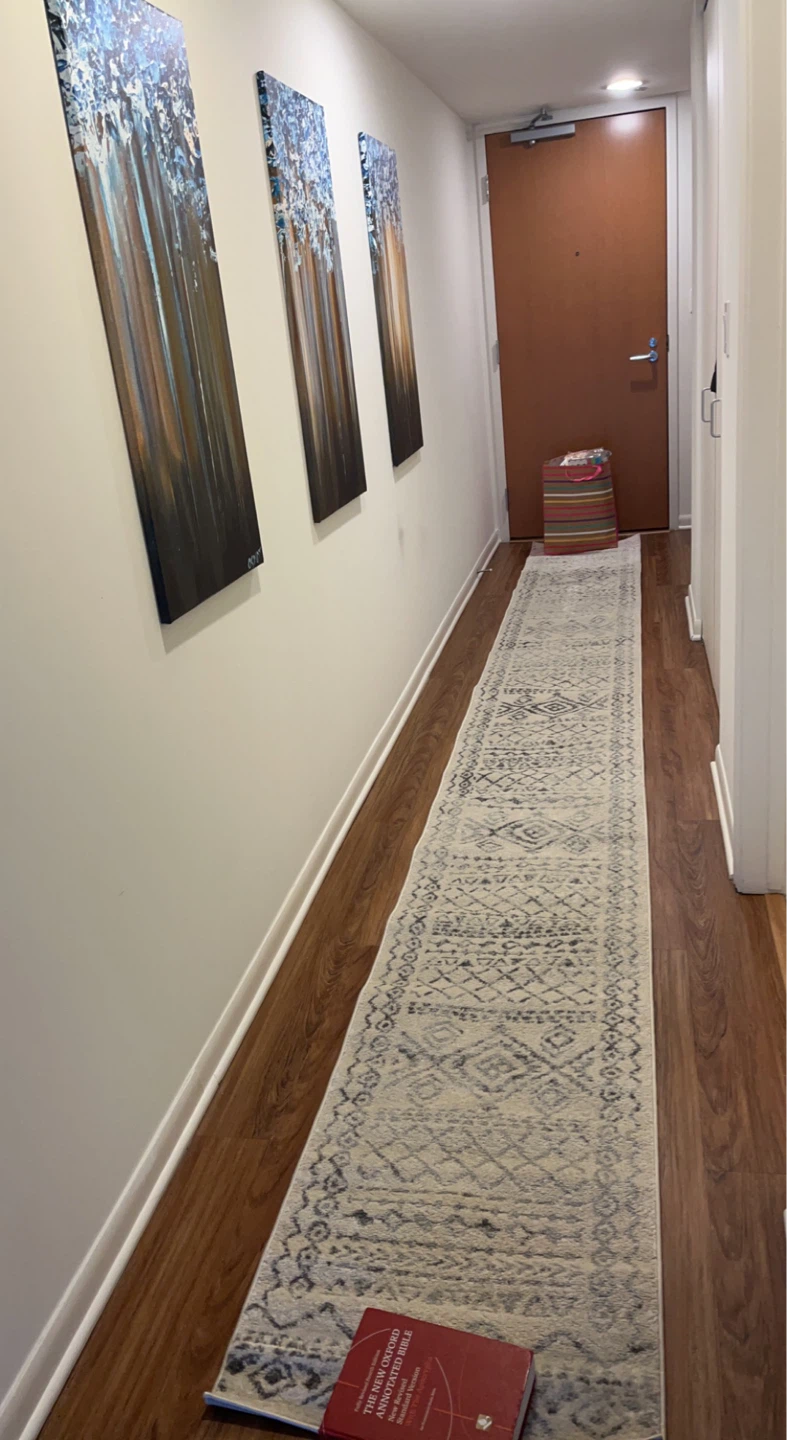 Long hallway runner