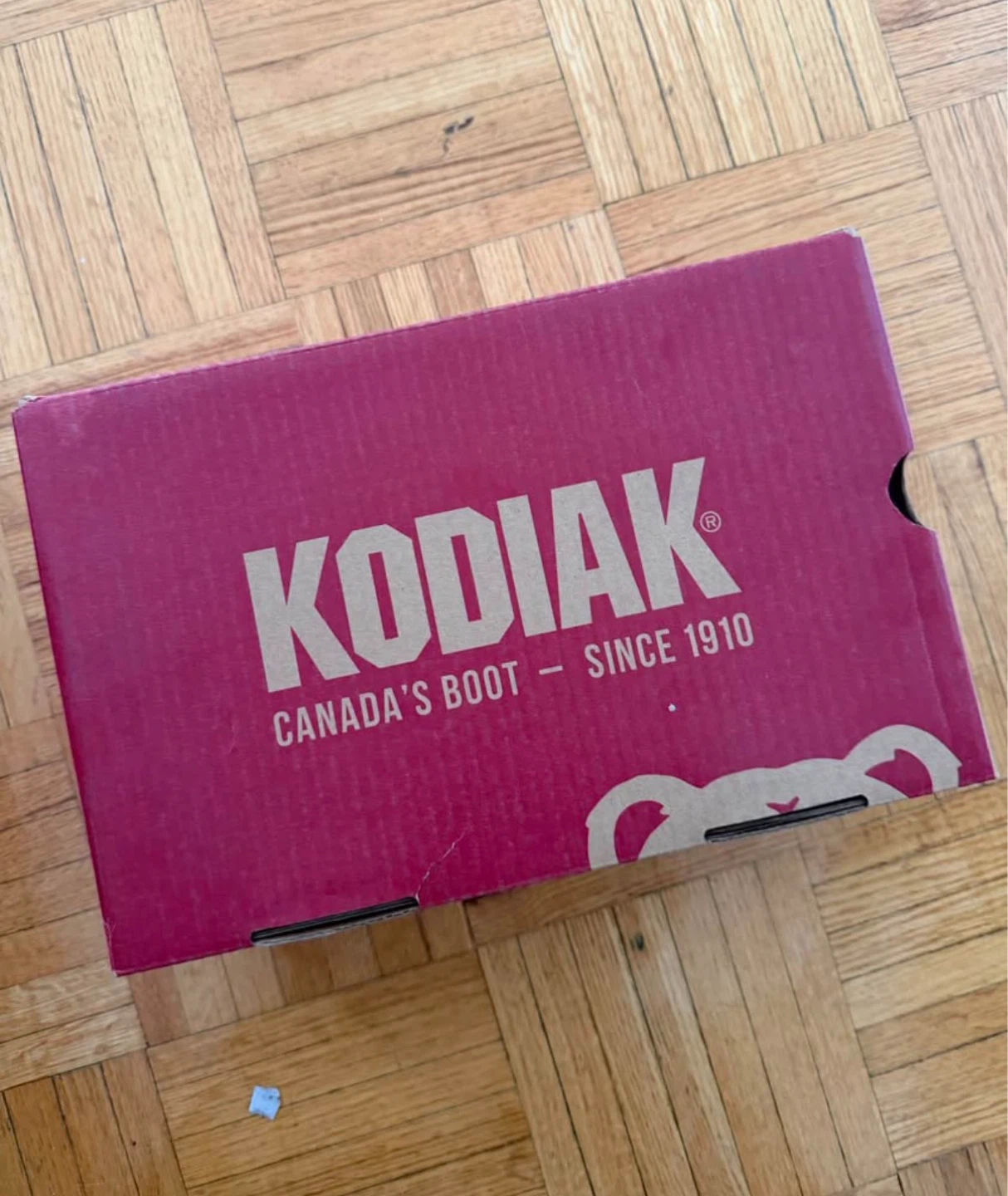 Brand new KODIAK safety shoes for women - photo 2