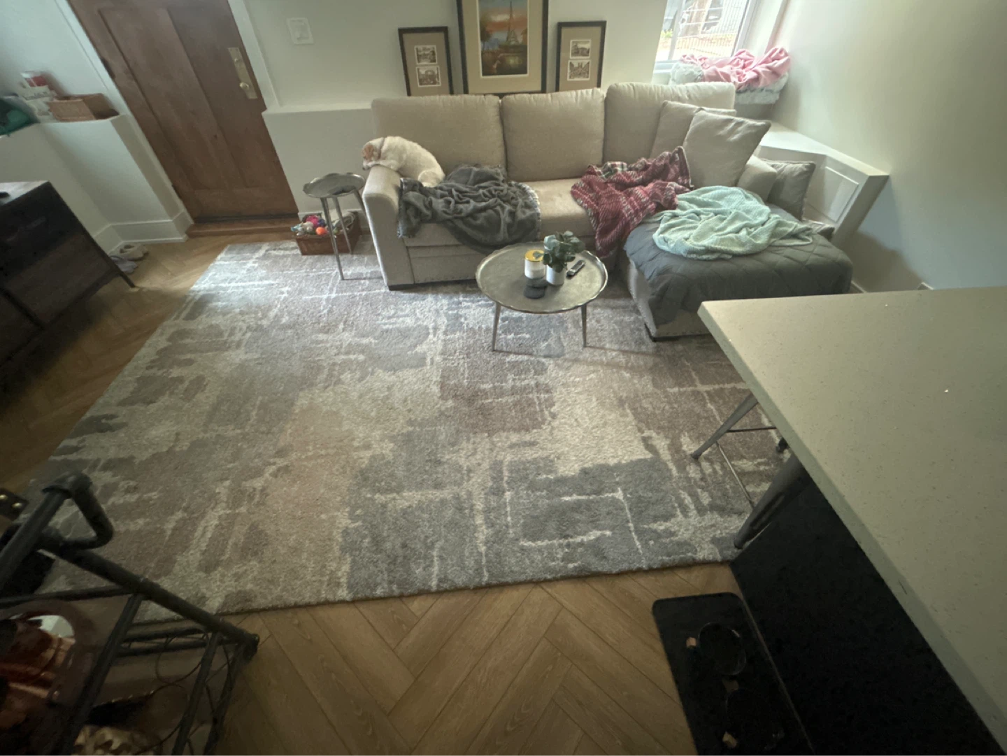 Area Rug - Gray, Beige, and White Abstract Pattern - photo 2