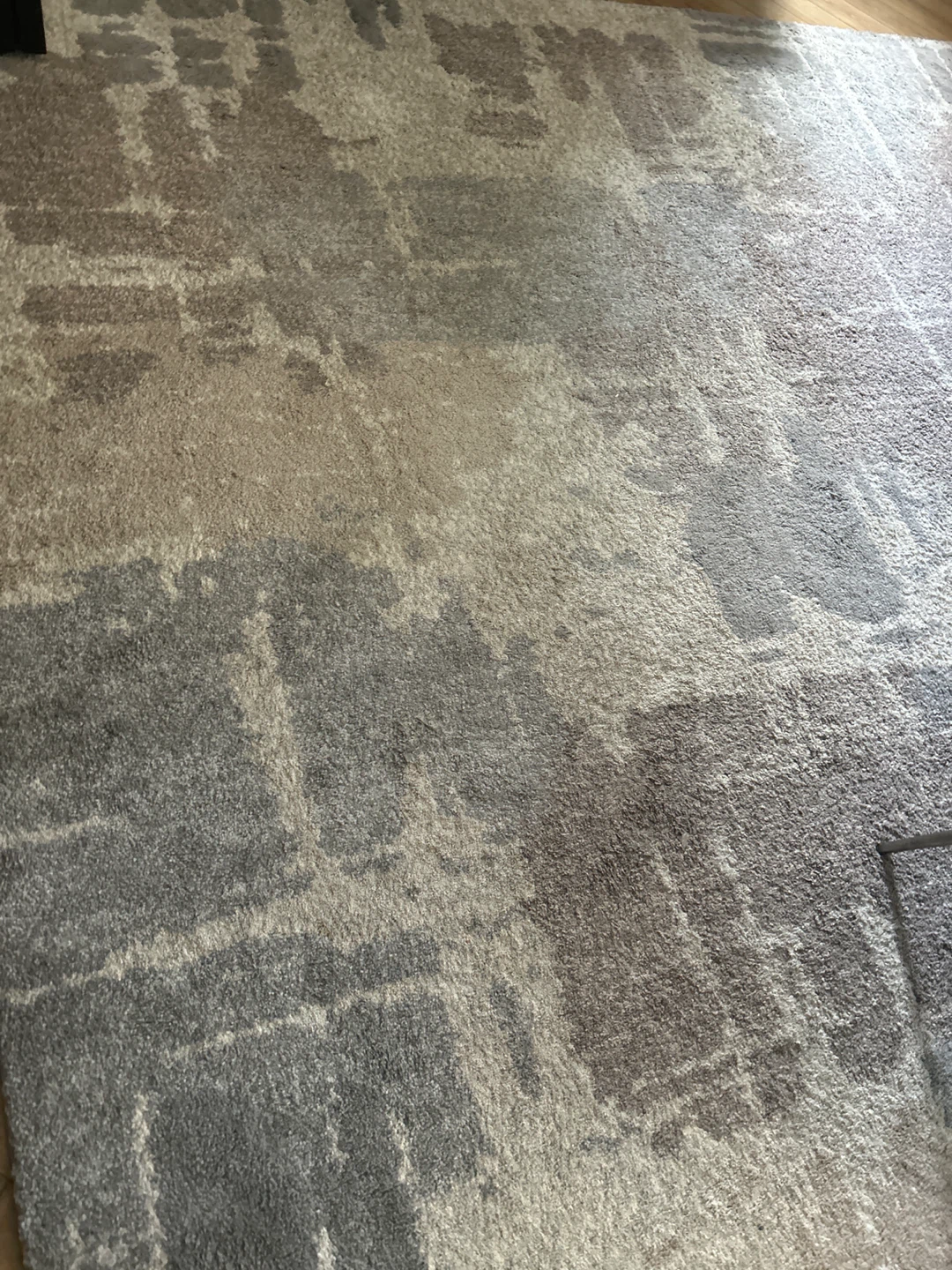 Area Rug - Gray, Beige, and White Abstract Pattern - photo 3