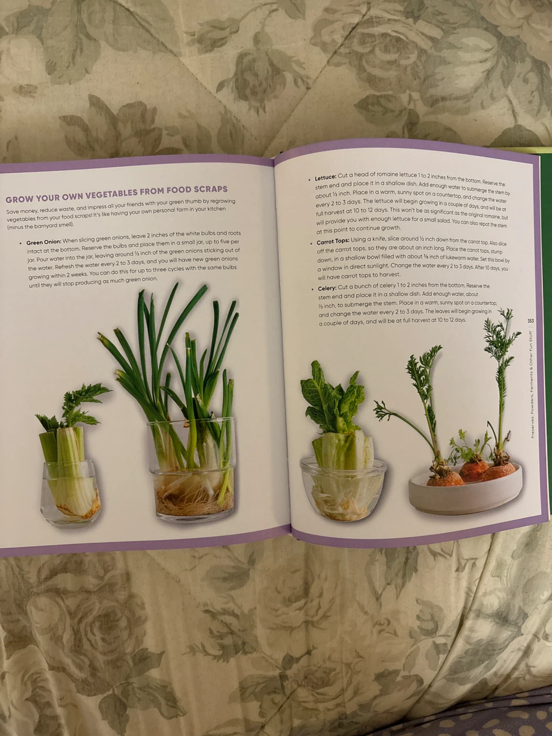 Plant You: Scrappy Cooking Cookbook - photo 4