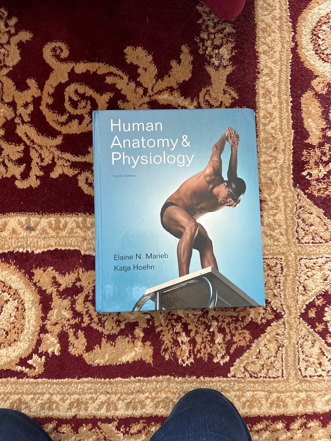 Human Anatomy & Physiology Textbook - Eighth Edition