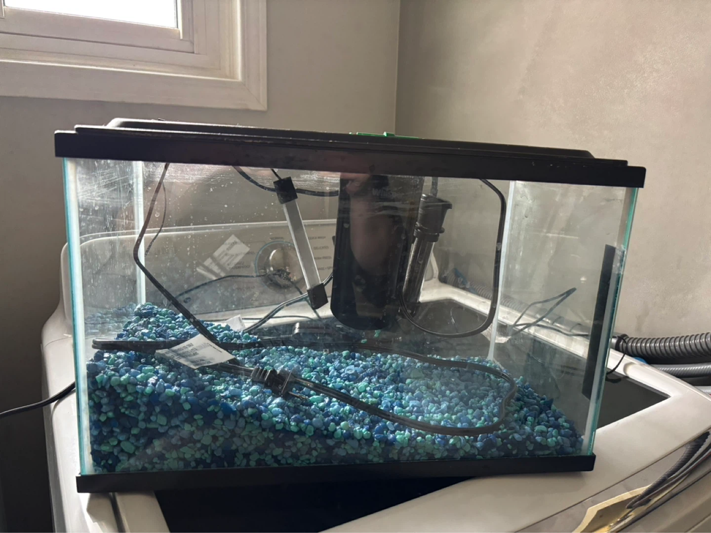 5 gallon Aquarium
