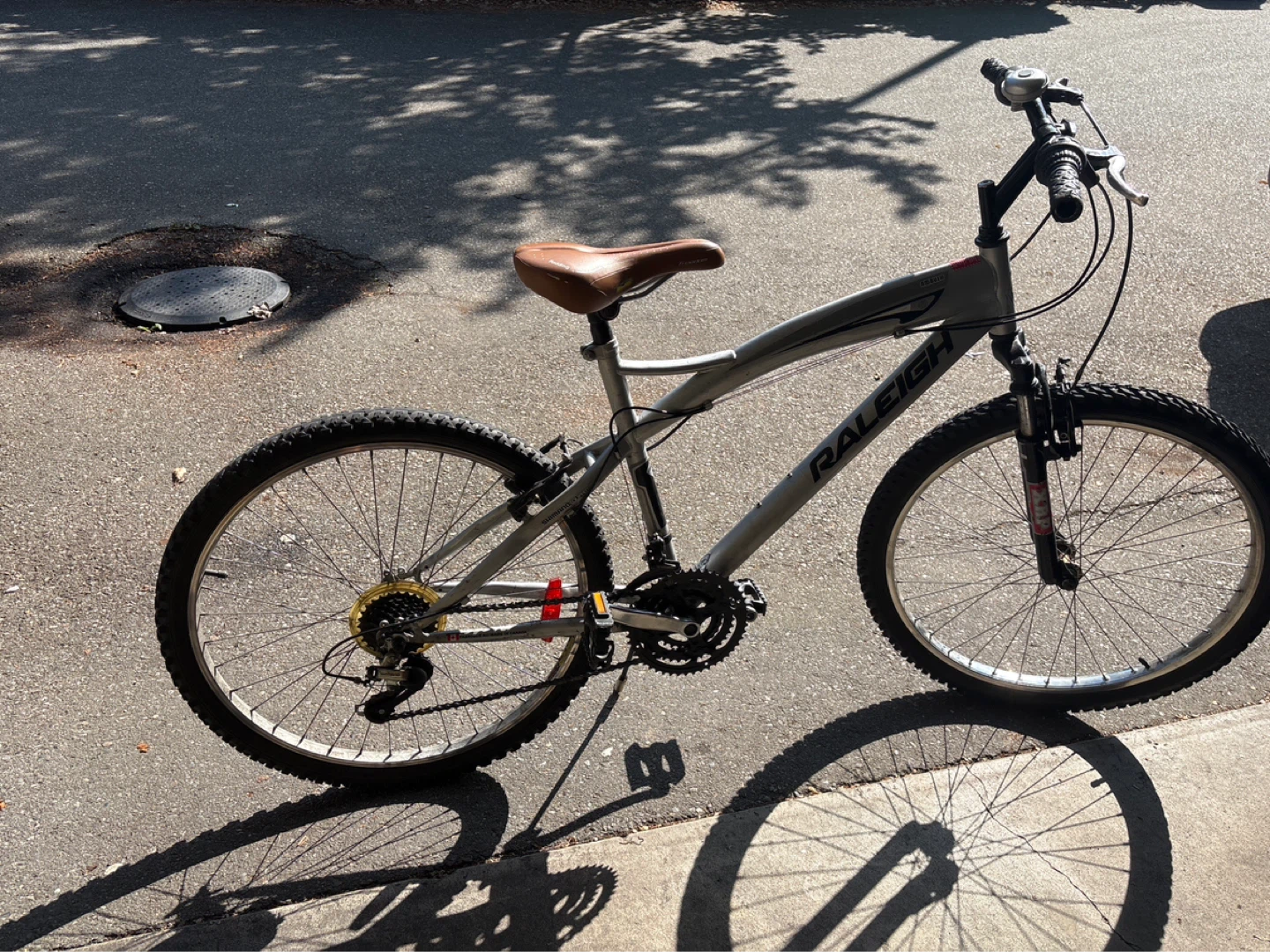 Raleigh Mountain Bike - Silver - photo 2