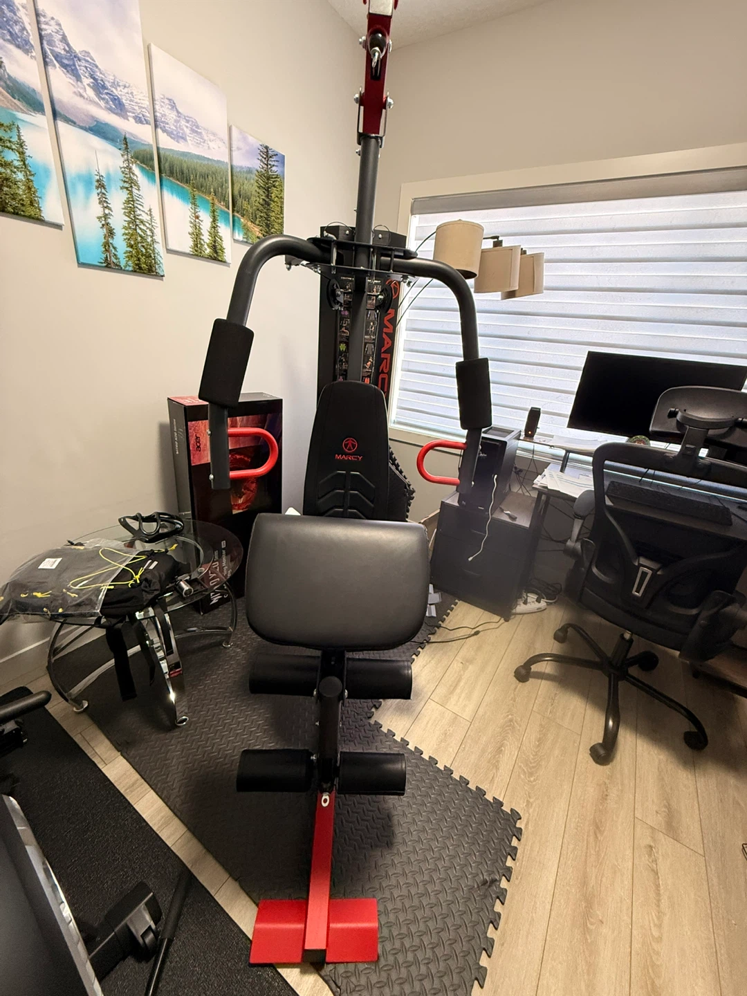 Marcy Home Gym