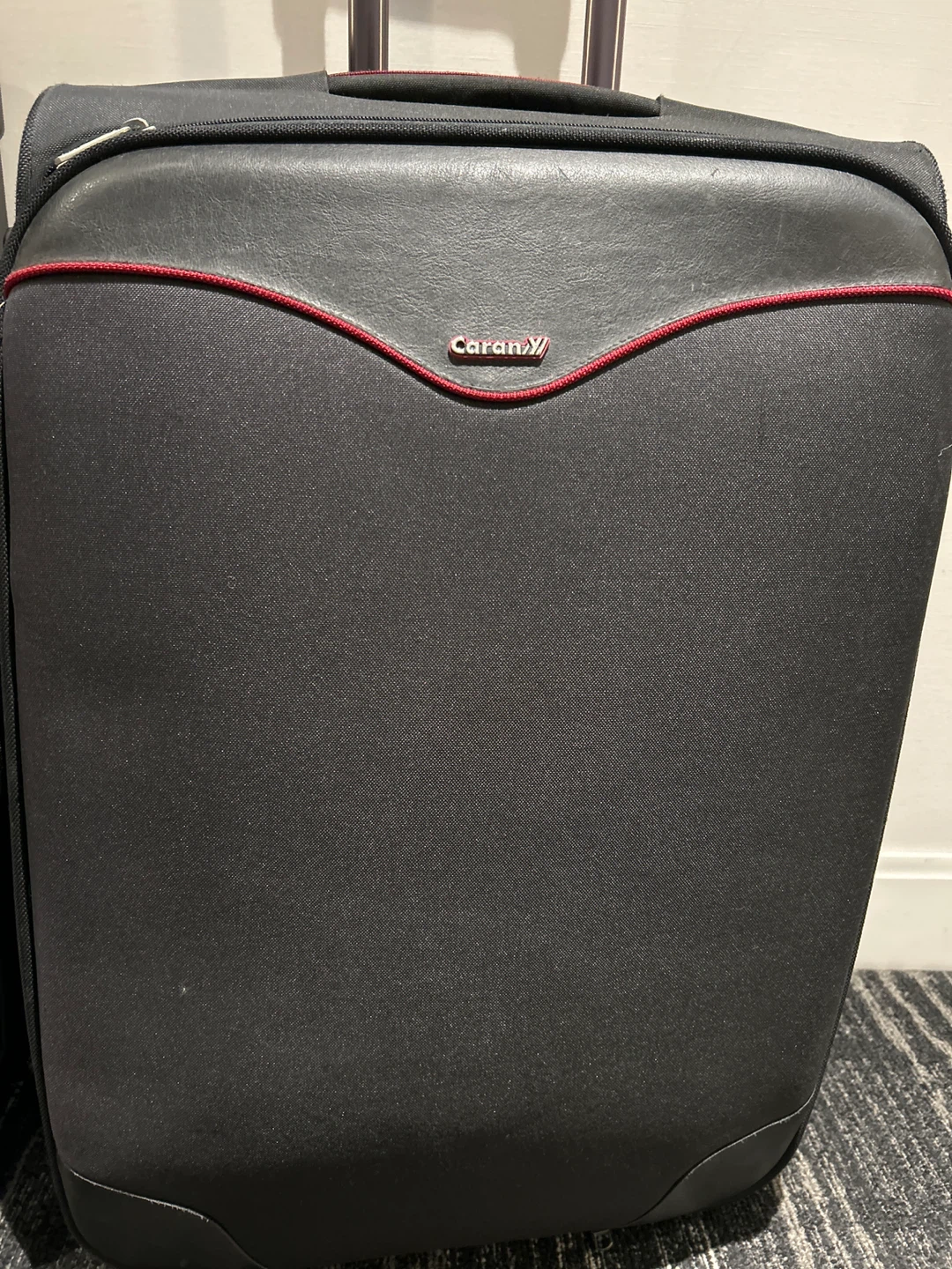 large Check in Luggage