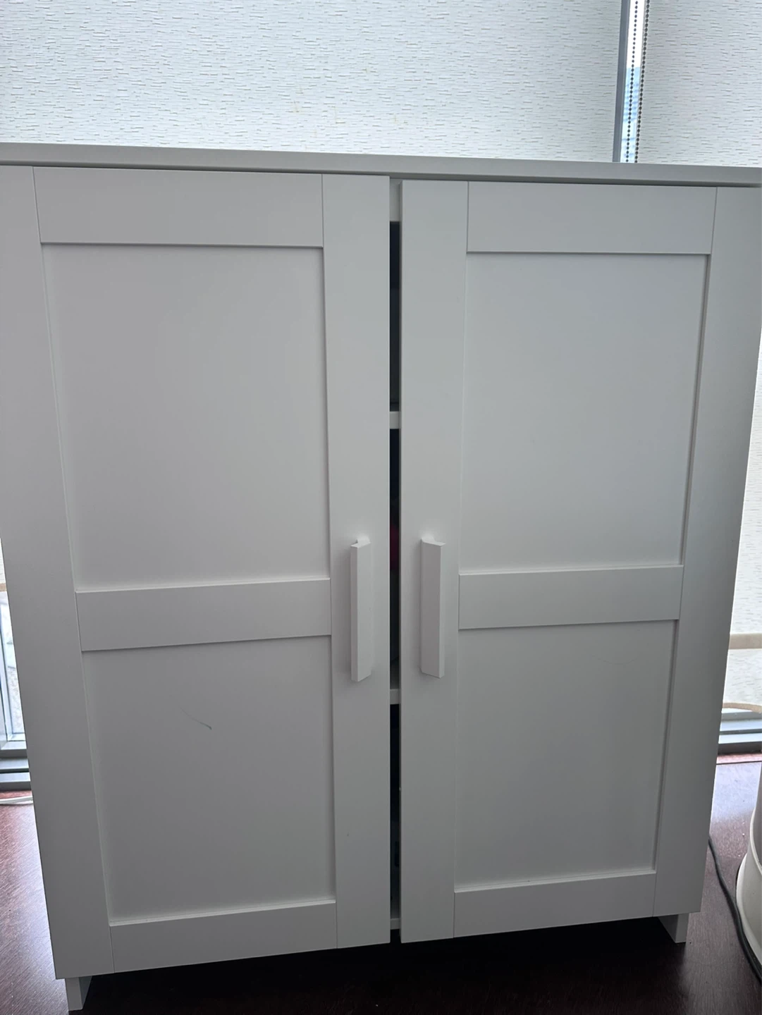 White 2-Door Storage Cabinet