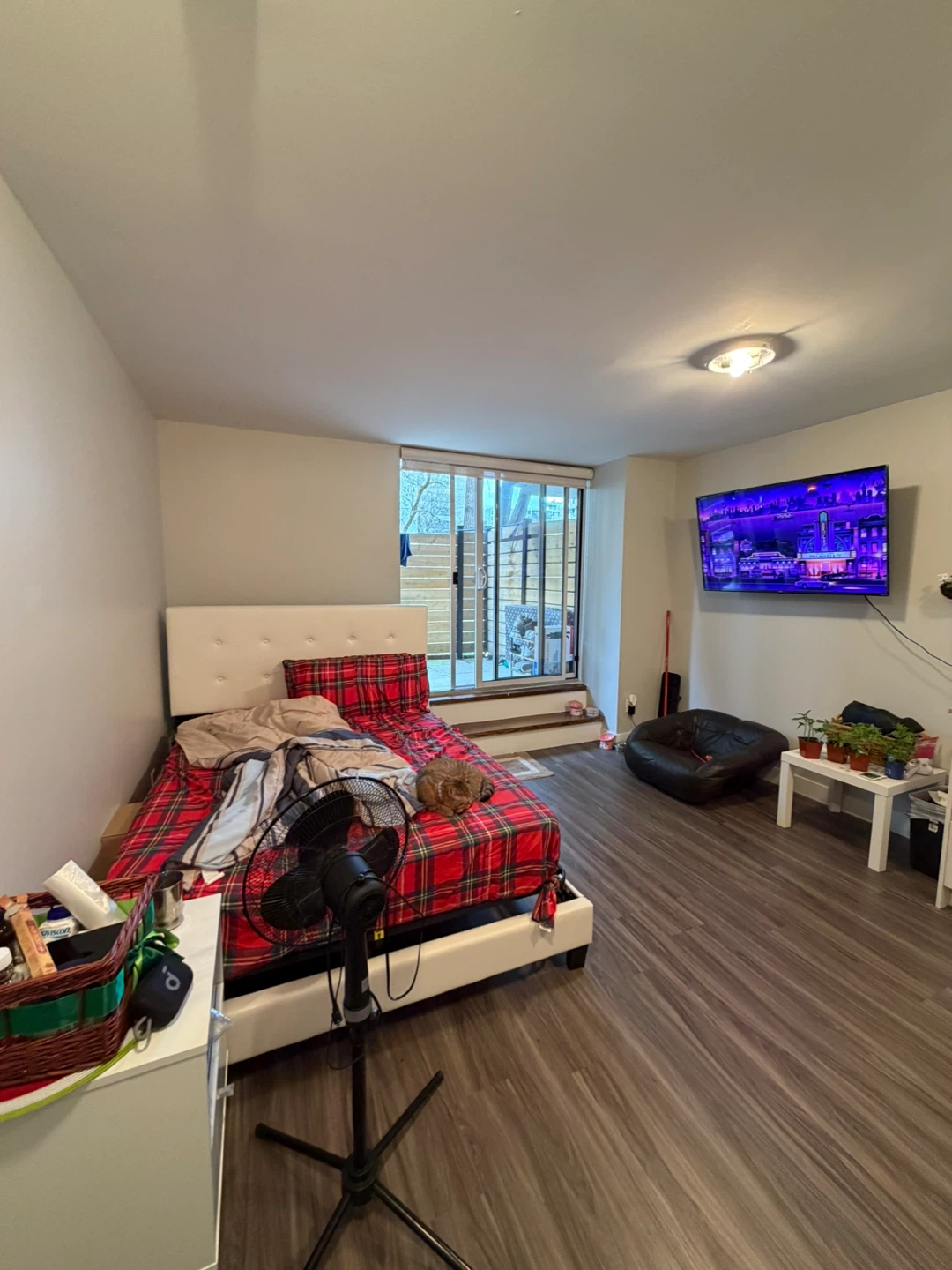 One bedroom Apartment for rent - photo 2