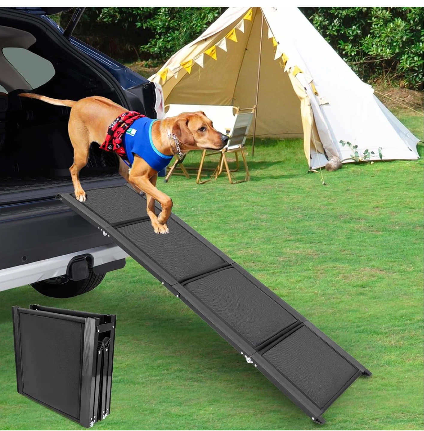 Pet Ramp for Dogs