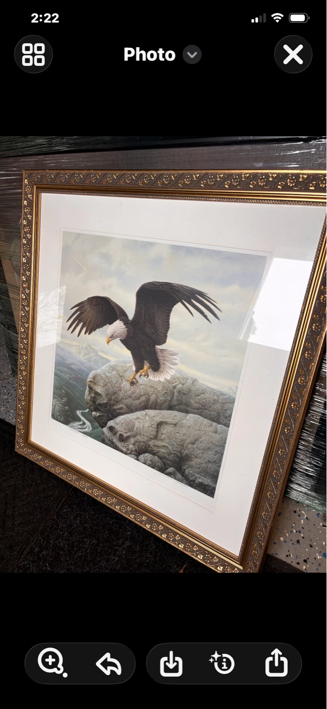 Framed Art Prints Collection - photo 2