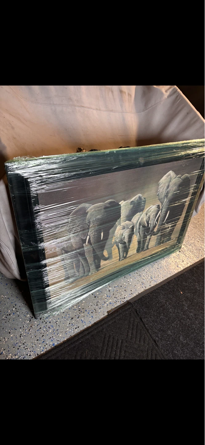Framed Art Prints Collection