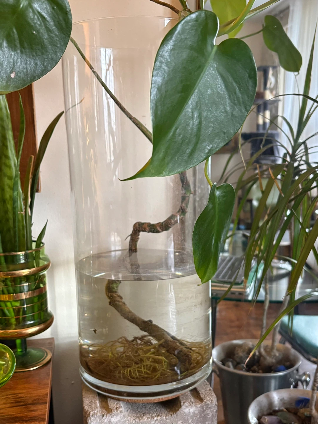 Large Glass Cylinder Vase - photo 2