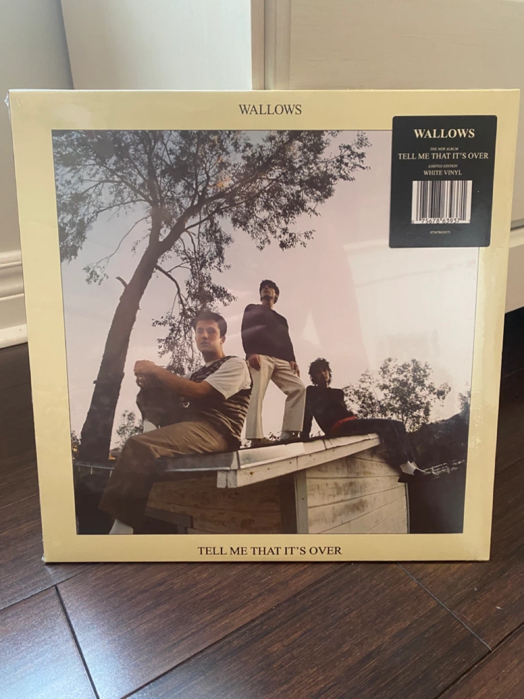 read desc. SEALED!!! Wallows Tell Me That It's Over White Vinyl