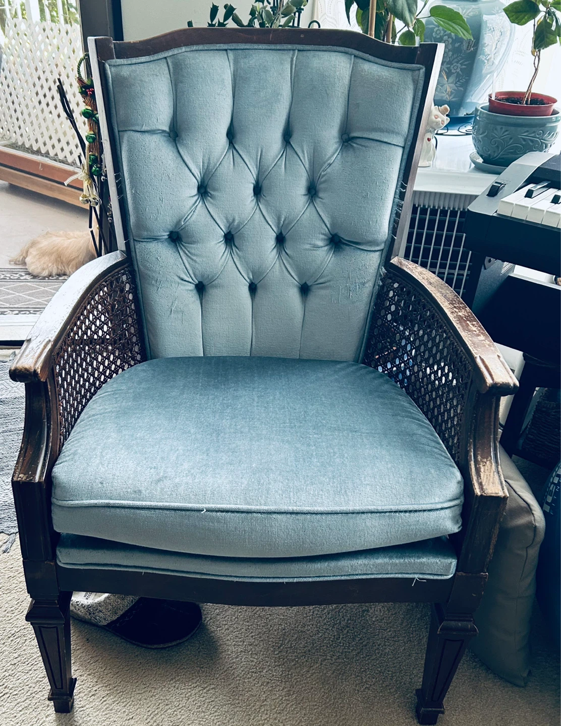Vintage Upholstered Cane Accent Chair