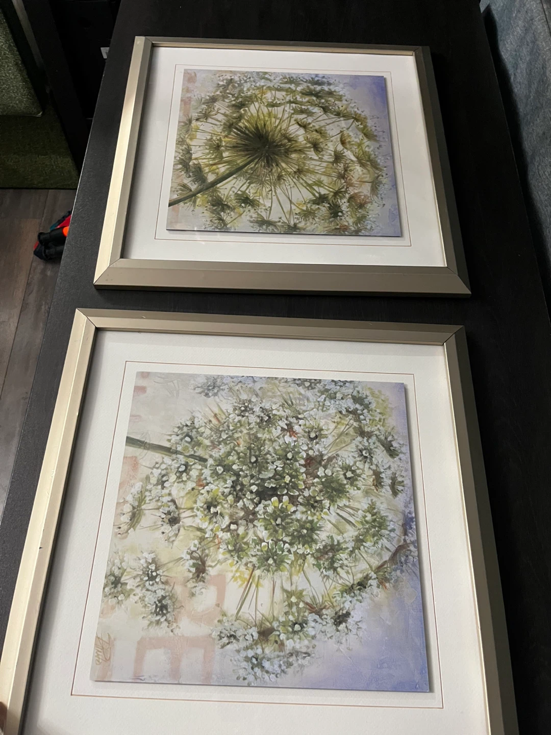 Framed floral art work pair 🌱