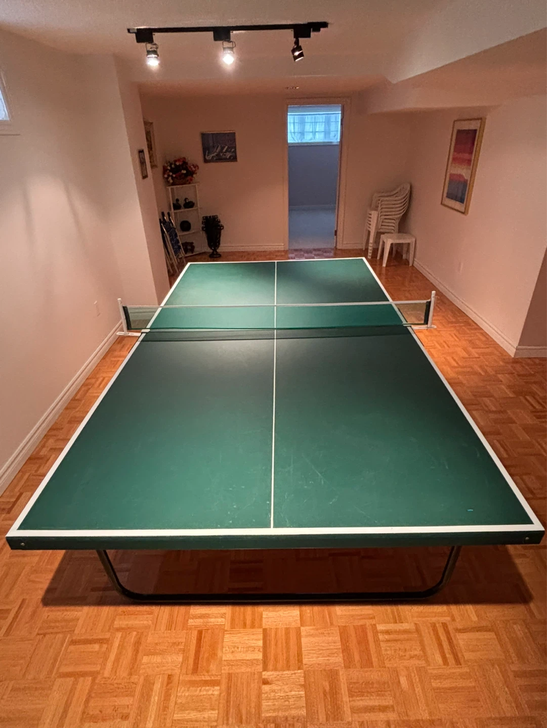 Ping Pong Table with Paddles & Case
