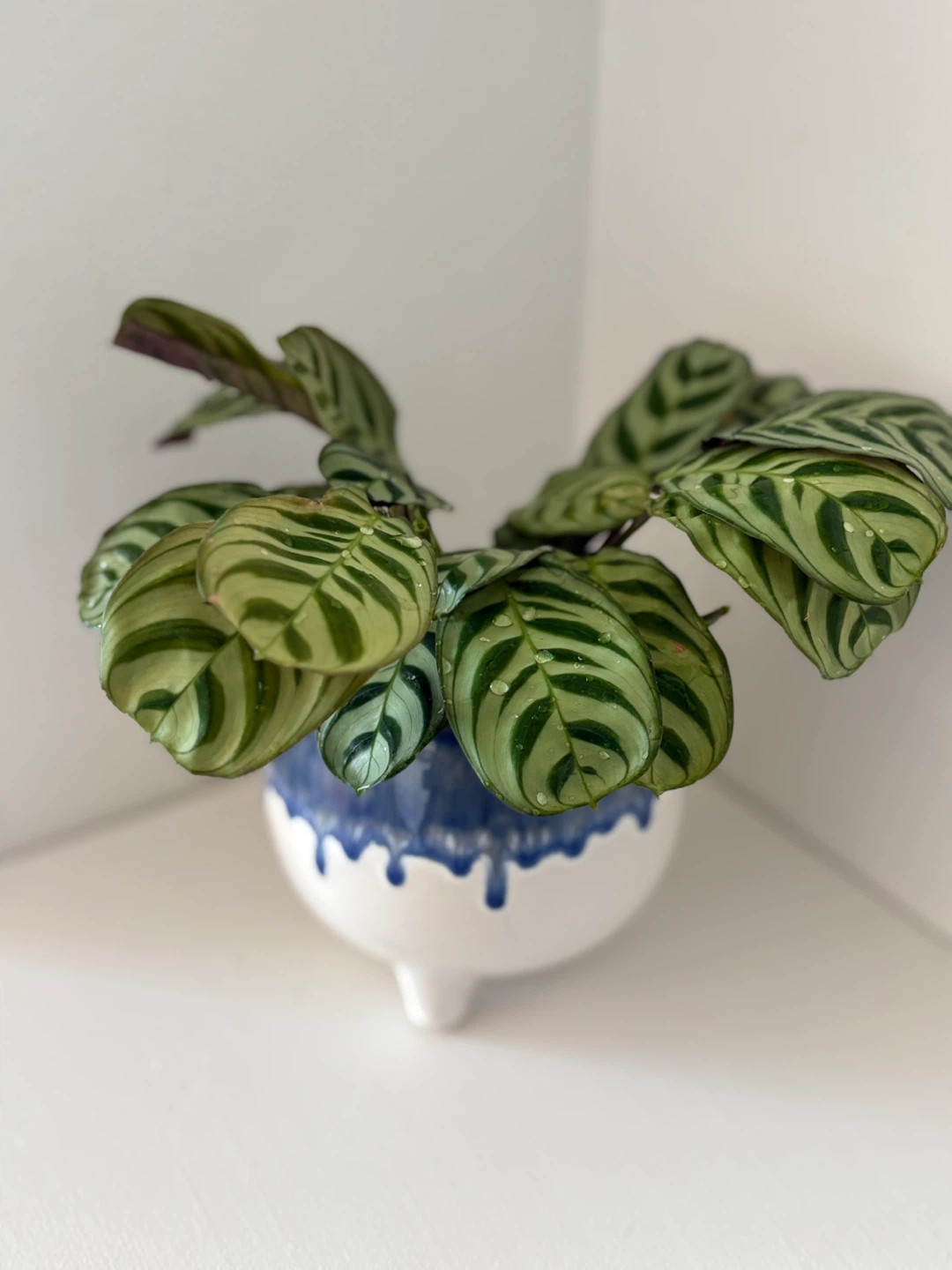 Gift for mother 🥰 - photo 3