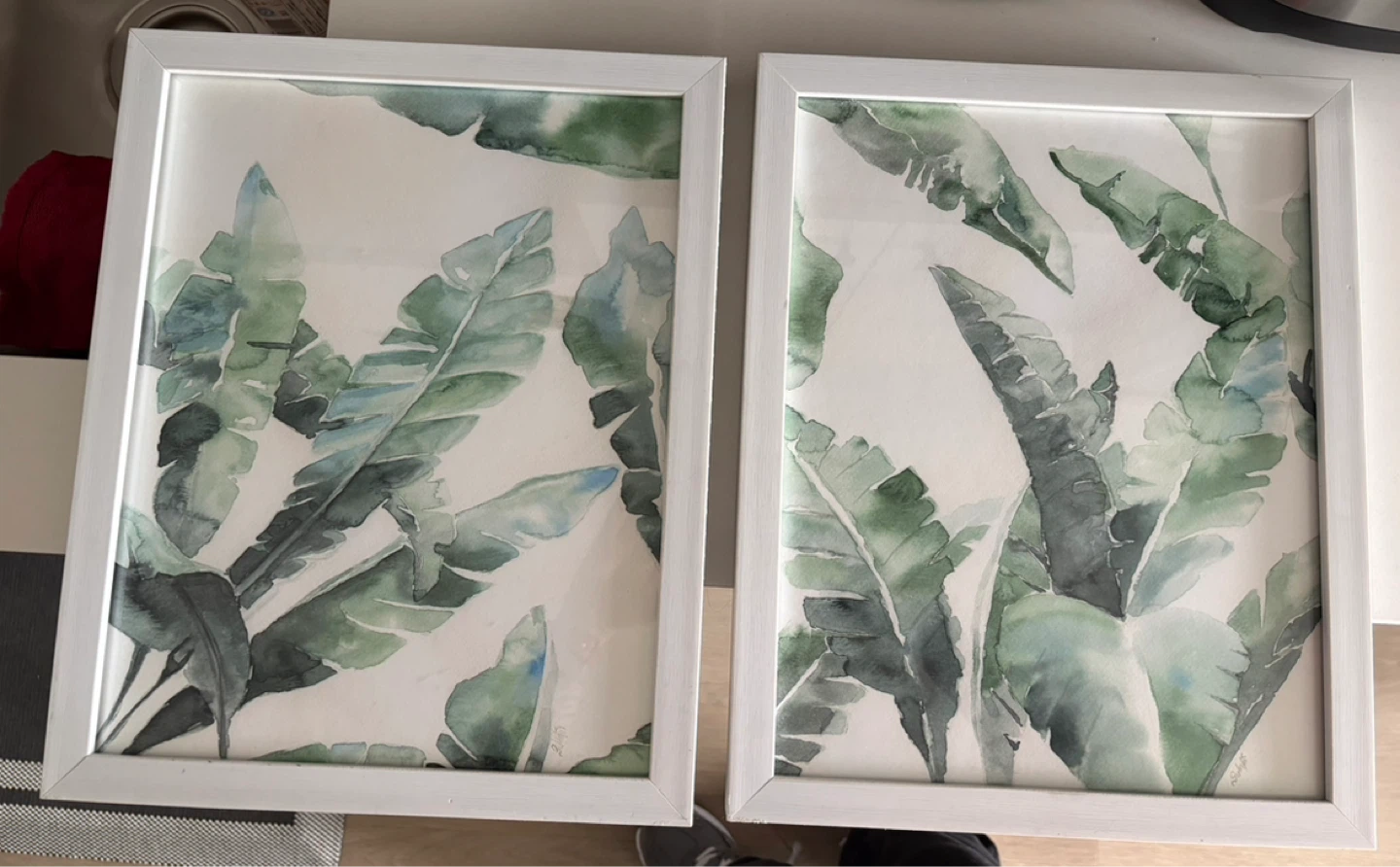 Set of 2 Framed Botanical Prints