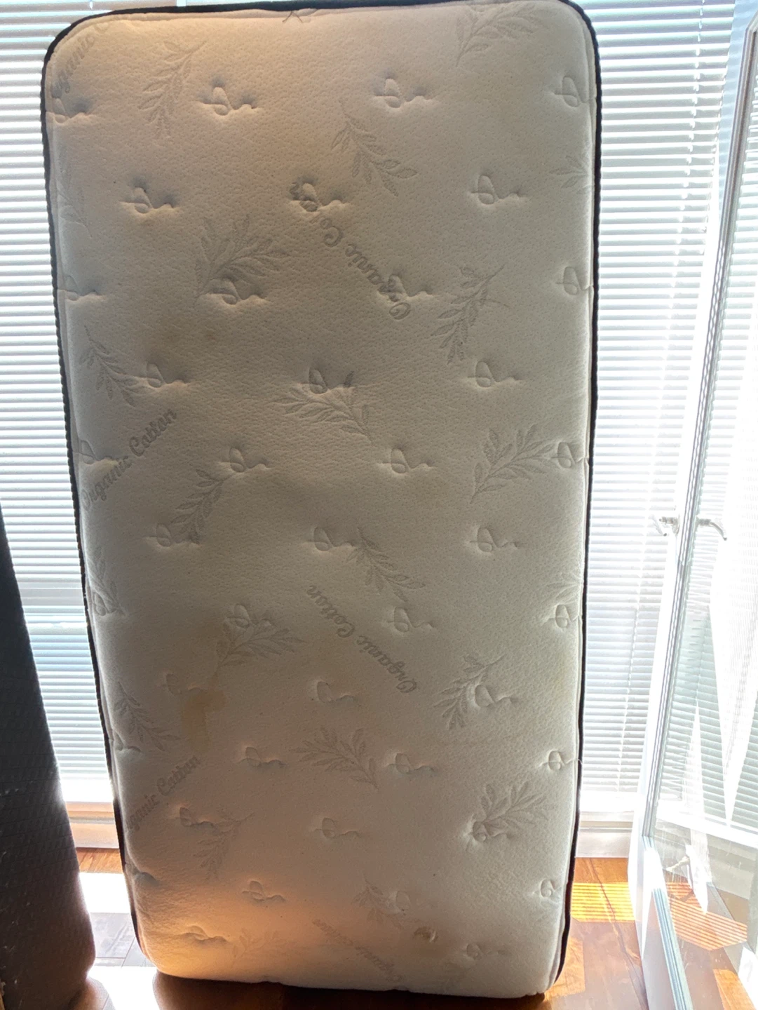 Organic Cotton Toddler Mattress with Box Spring