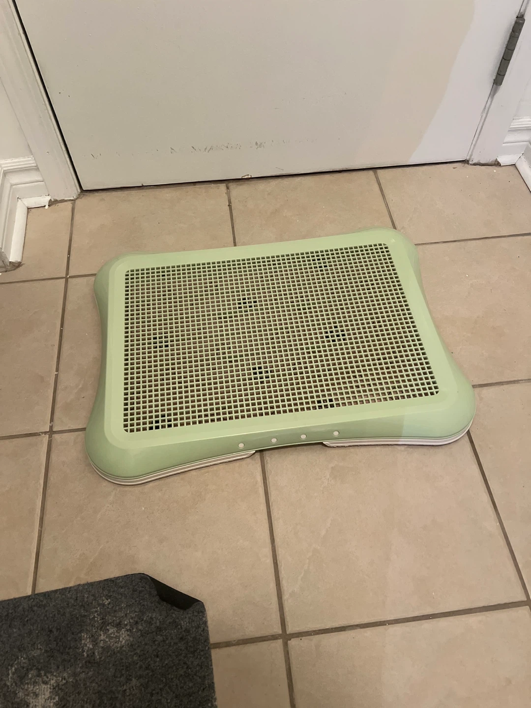 Light Green Pet Training Tray